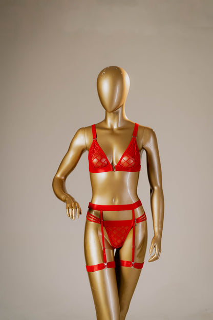 Sensual 3 Piece Lingerie set with Garter belt