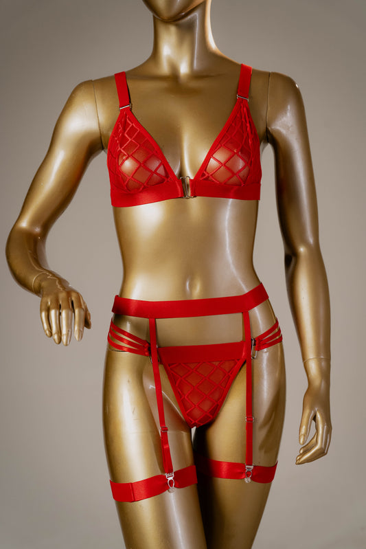 Sensual 3 Piece Lingerie set with Garter belt