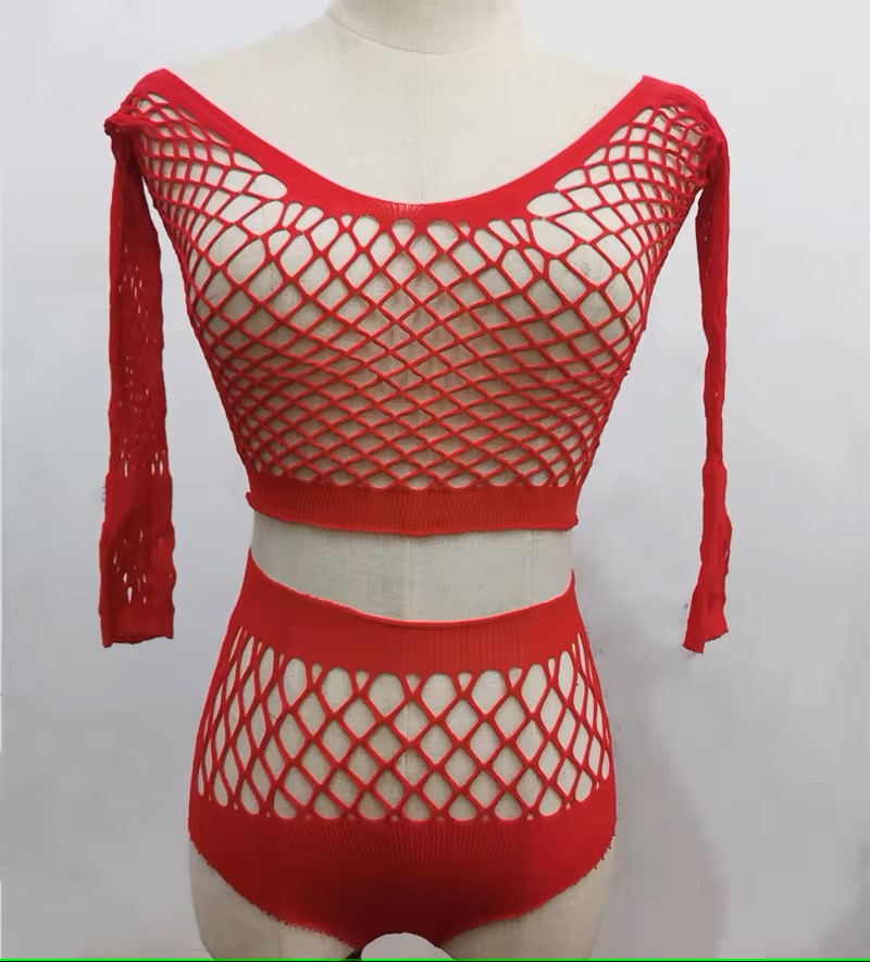 Alluring Long Sleeve Fishnet Set